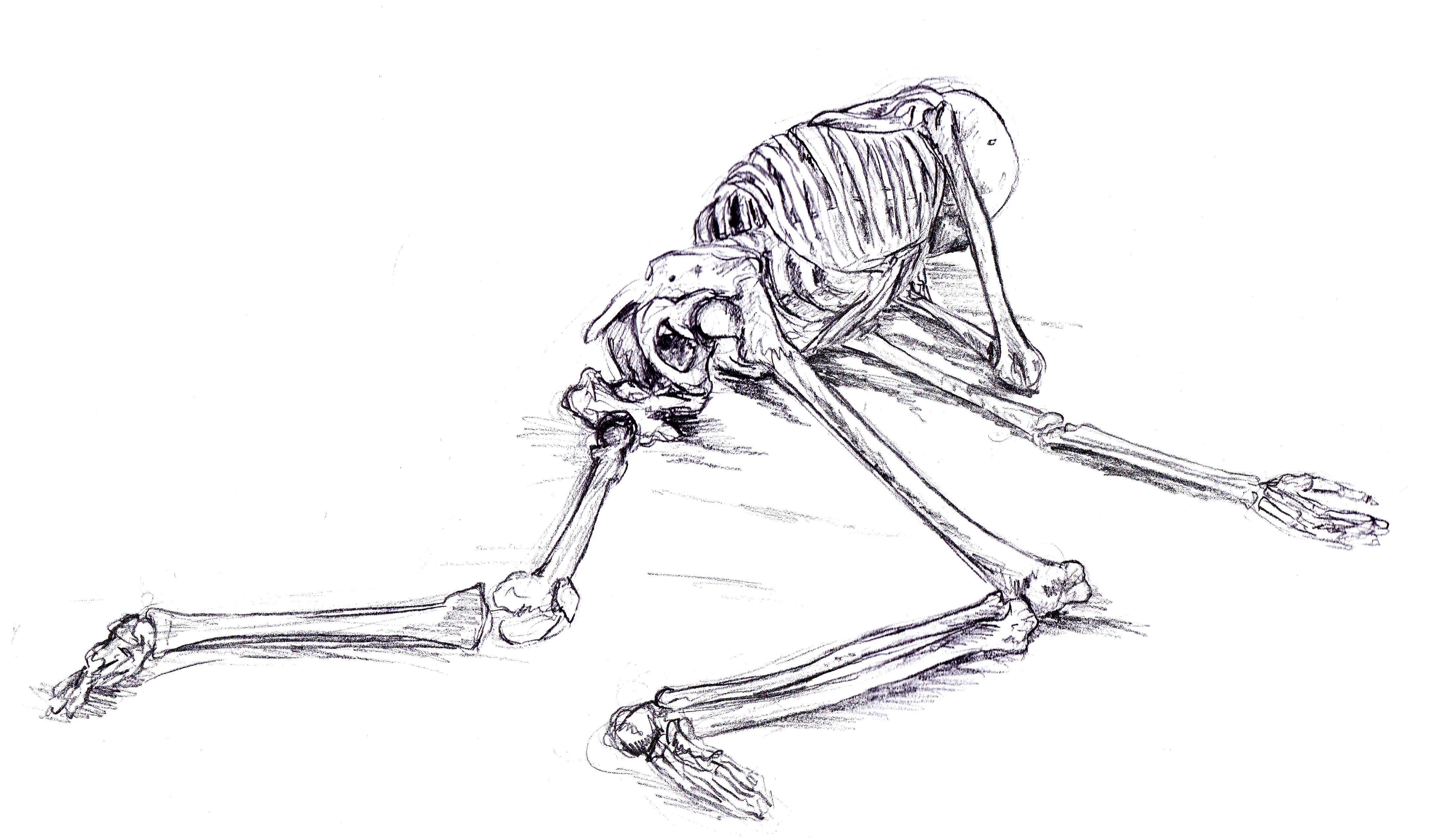 Dark Skeleton 4k Ultra HD Wallpaper