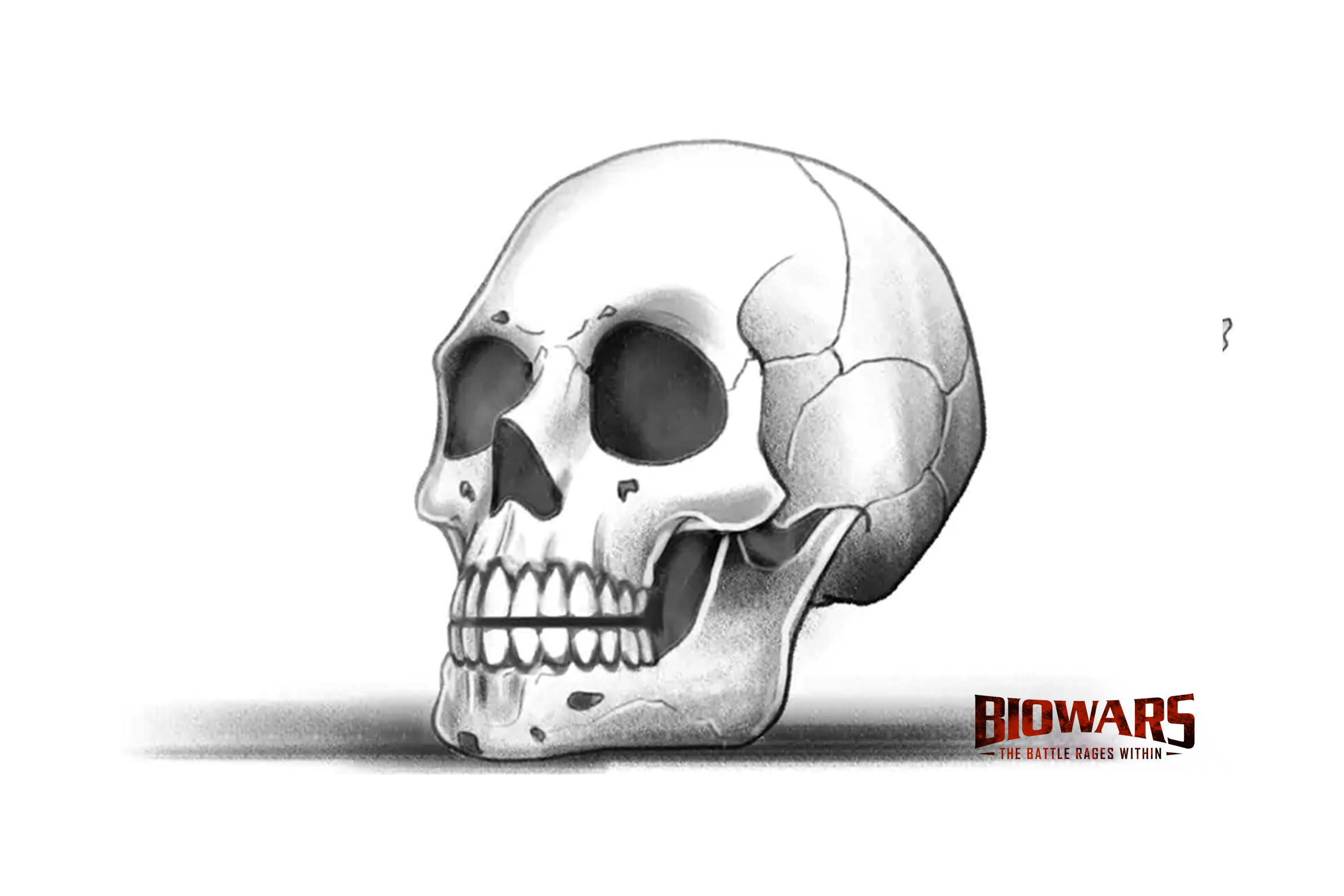 Skull Drawing Guide In 5 Easy Steps