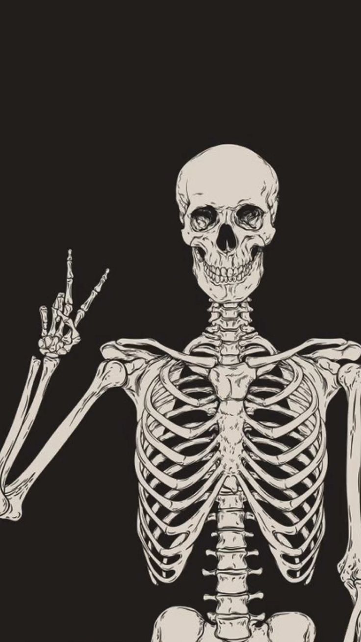 Printables. Skeleton illustration