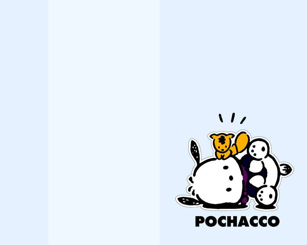 Pochacco Wallpaper