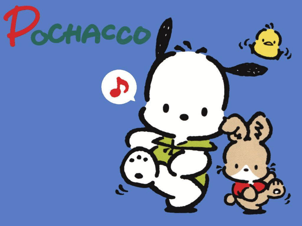 Pochacco Wallpaper