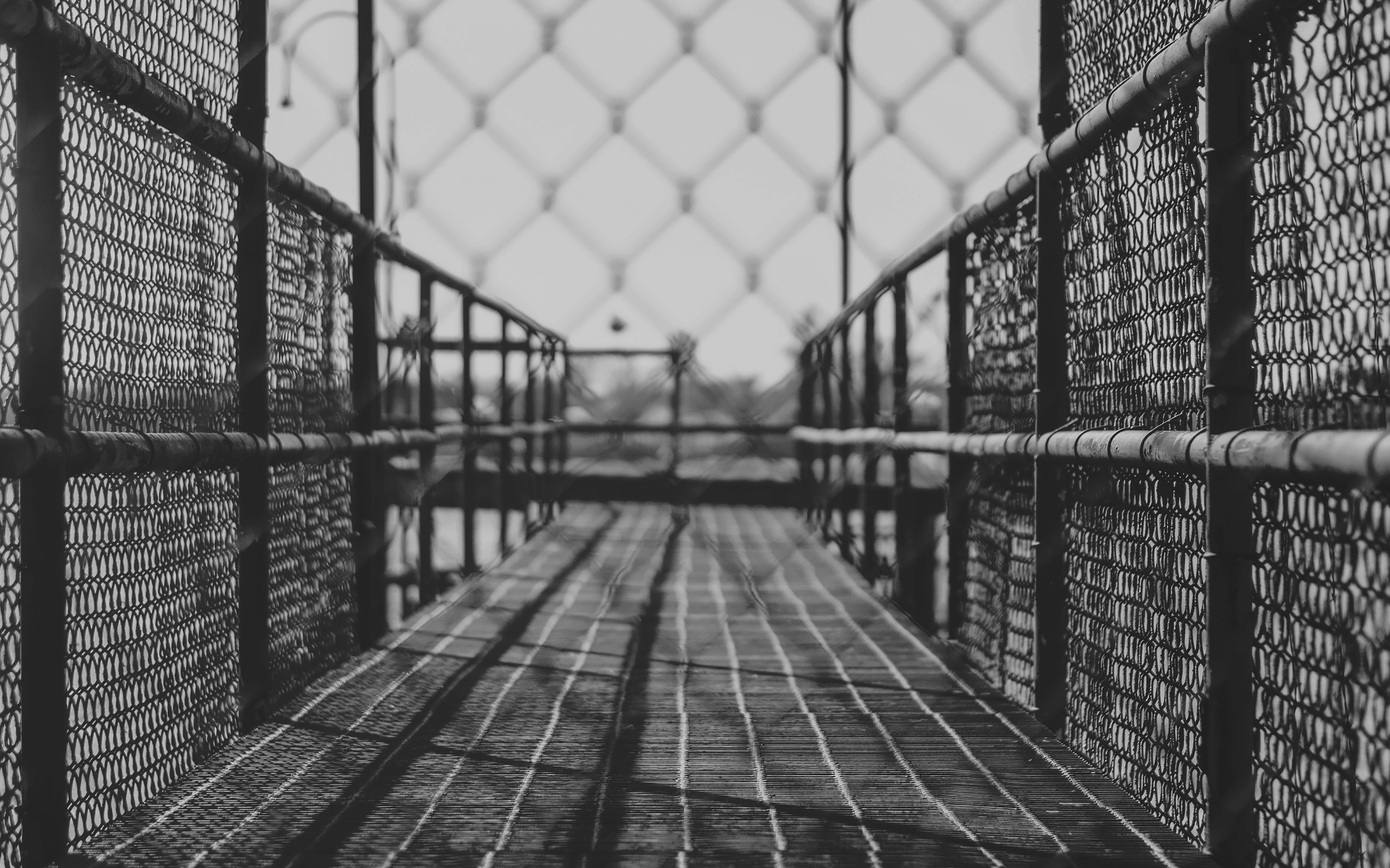 Jungle Gym City Dark Bw School Art