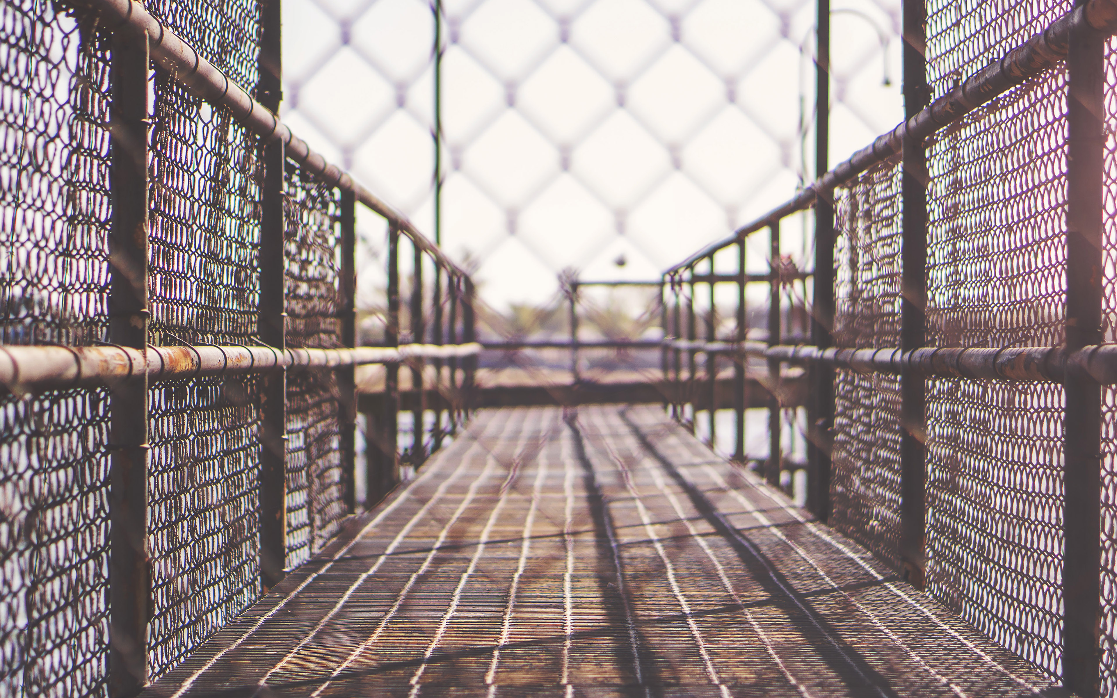 Jungle Gym City School Art