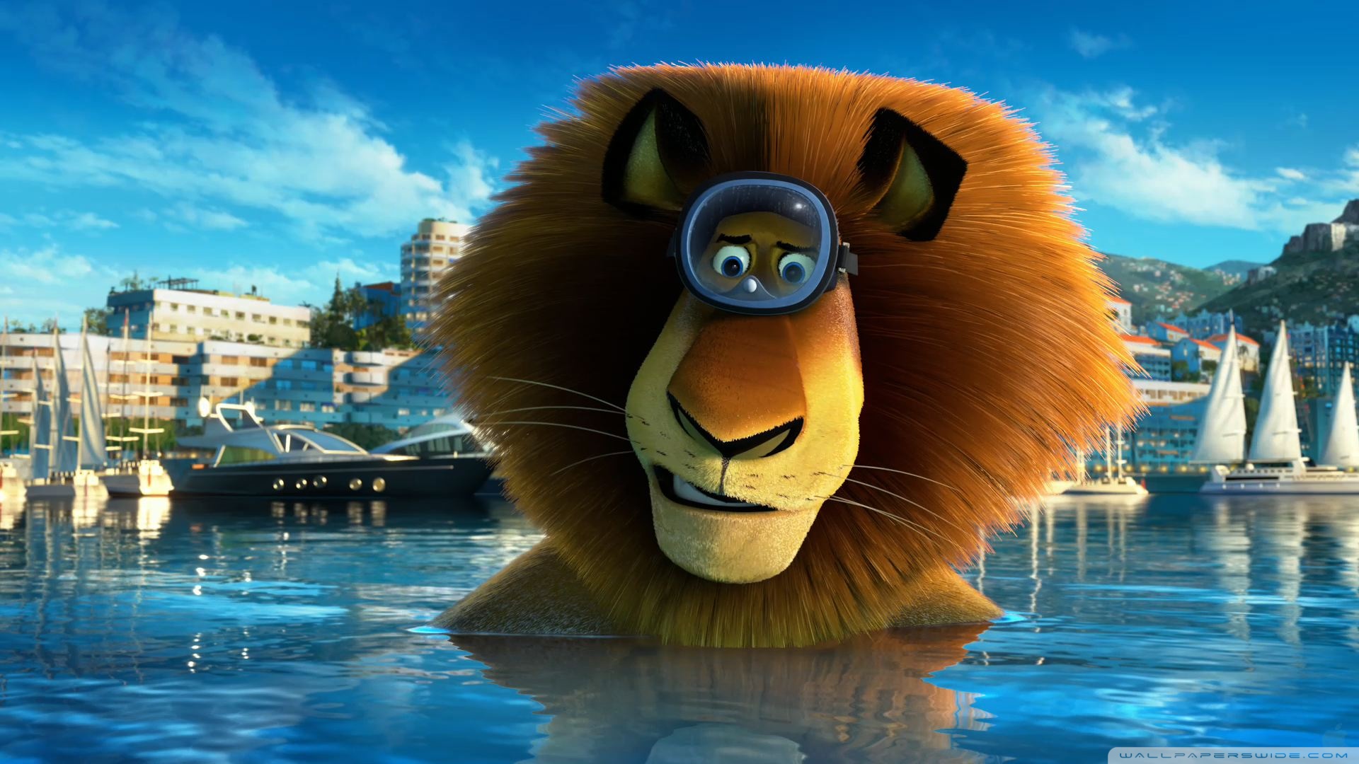Madagascar 3 Alex Ultra HD Wallpaper