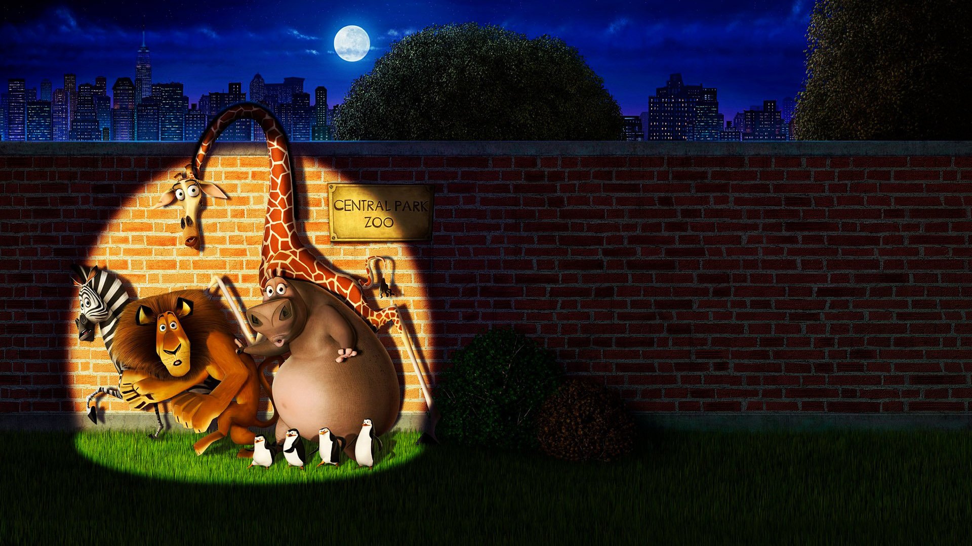 Madagascar Movie Escape HD Wallpaper