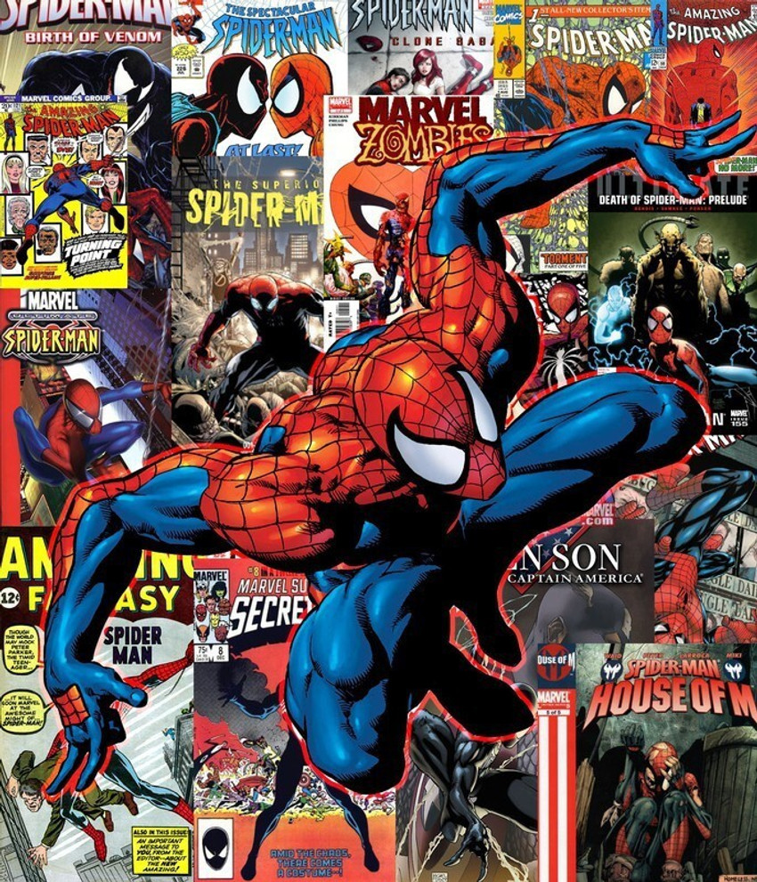 SPIDERMAN COMIC WALLPAPER ON FINE ART