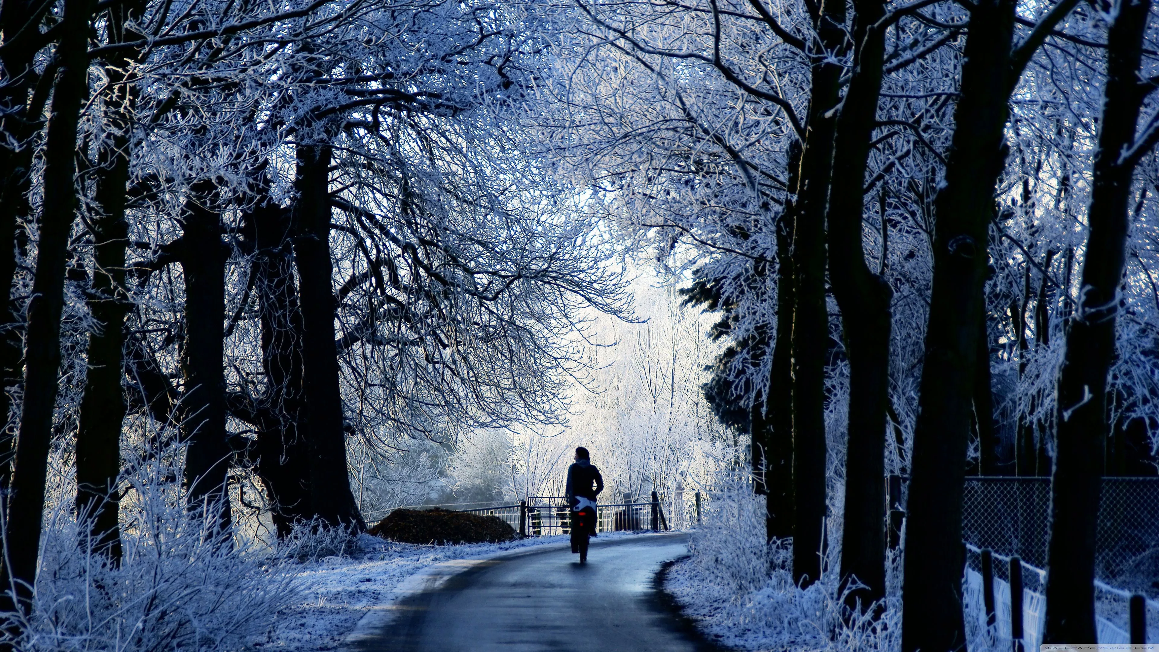 Winter Road Scene Ultra HD Wallpaper
