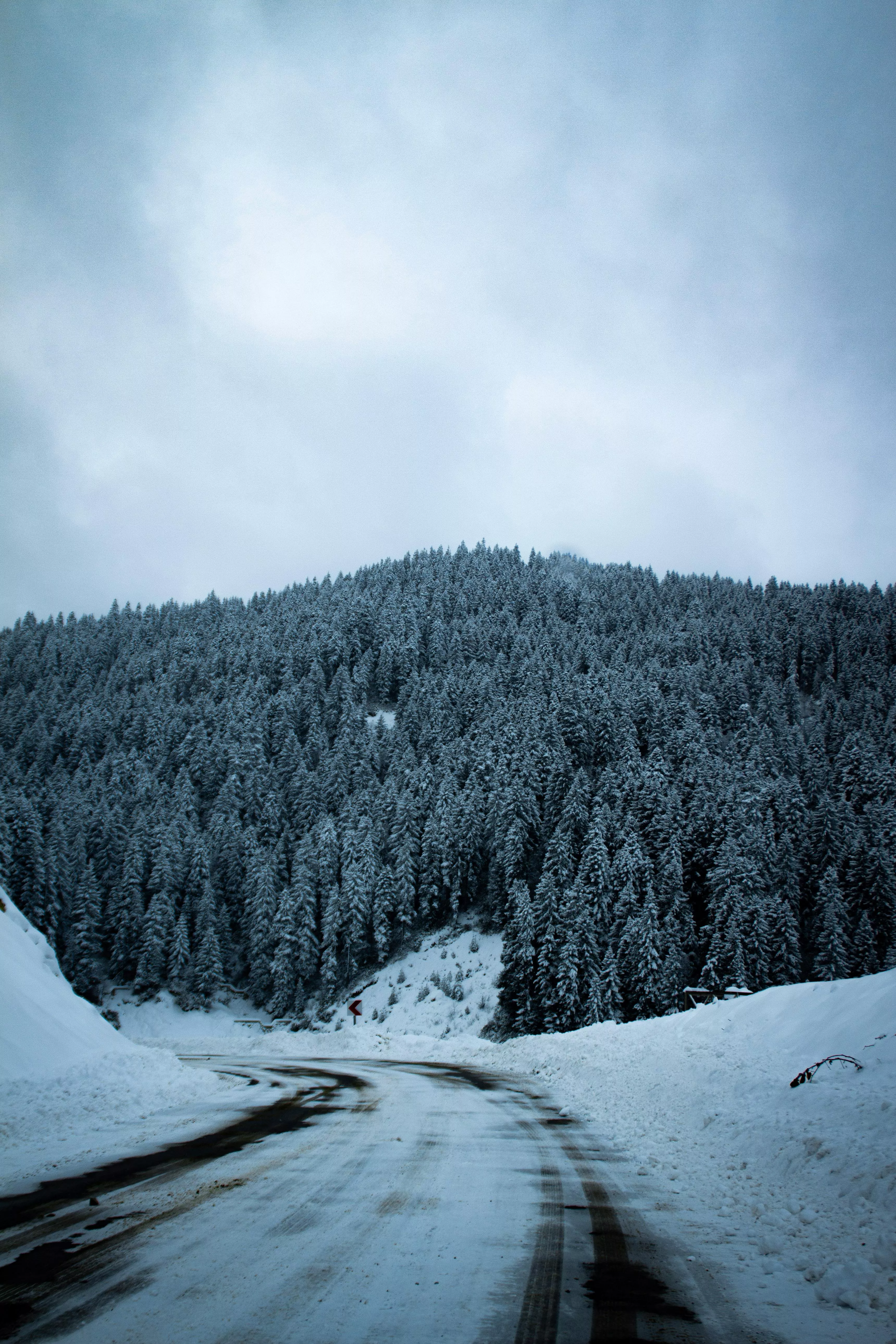 Mountain Road in Snow · Free