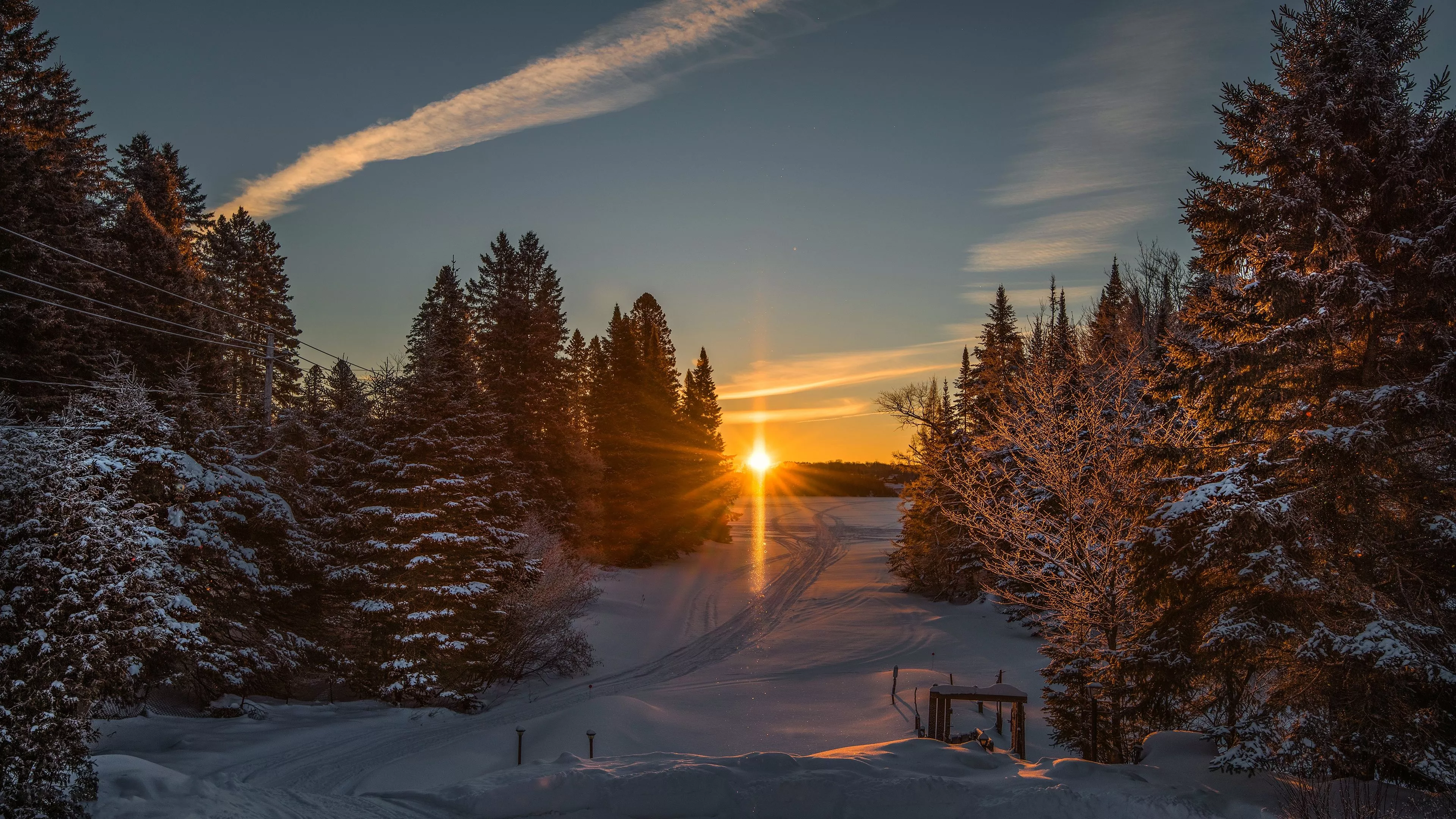 Wallpaper winter, road, forest, the sun