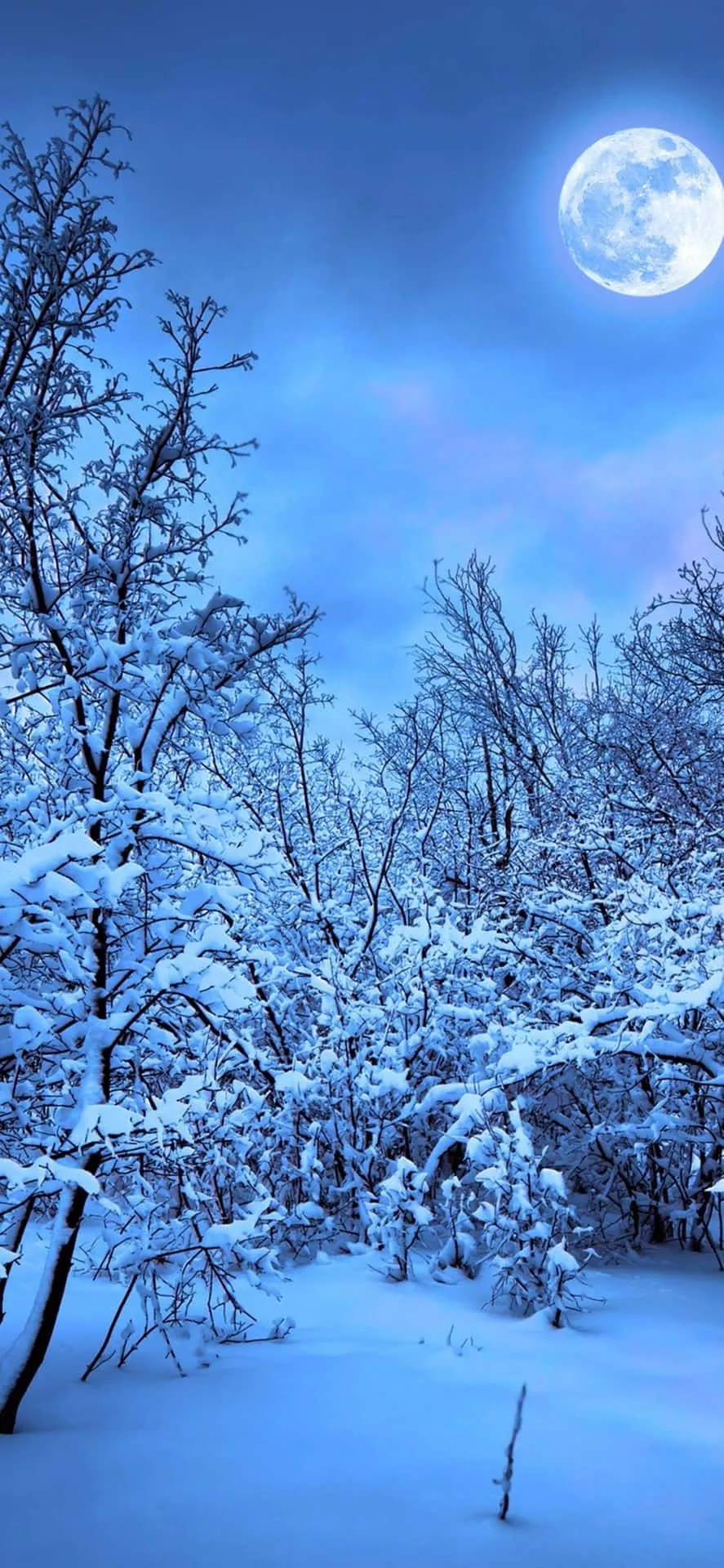 Snowy Nature 4k iPhone Wallpaper