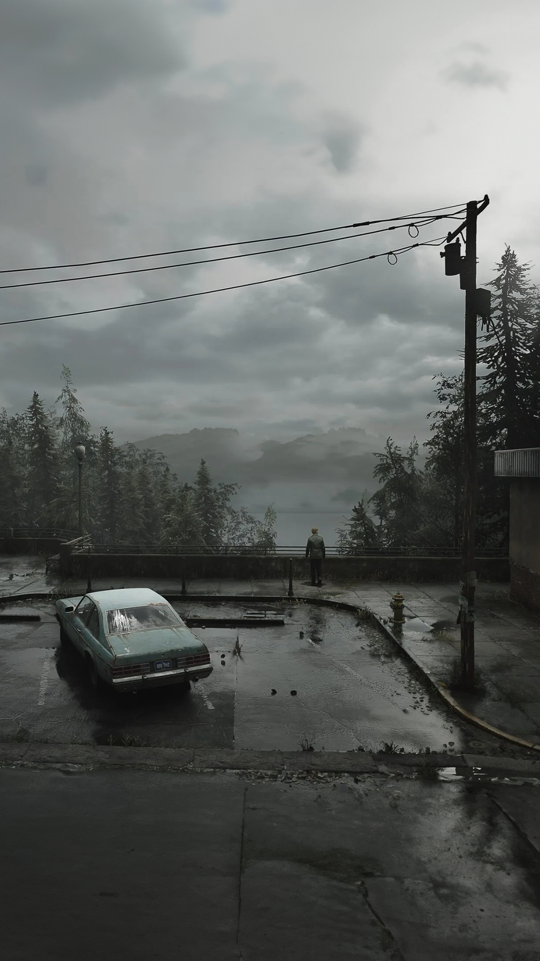 I took some stills from the SH2 trailer