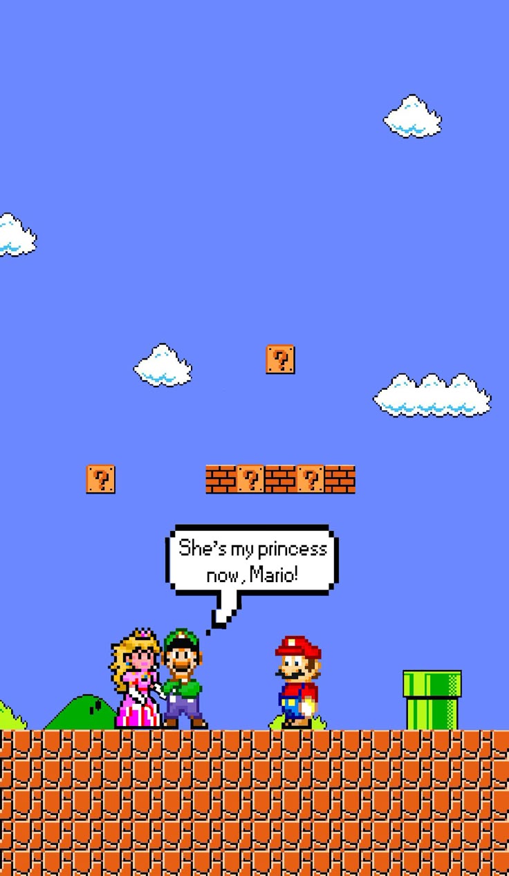 Mario Luigi Wins iPhone Wallpaper