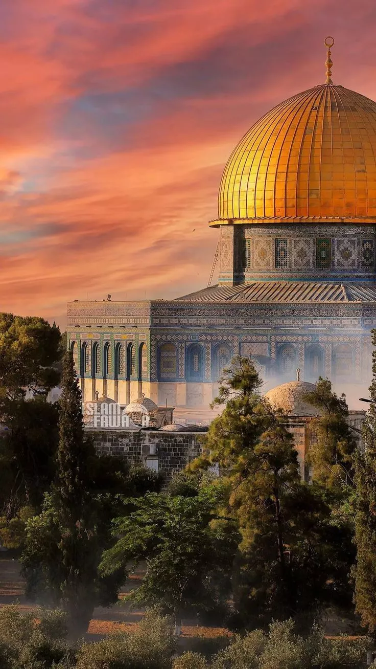 Nishat Tasnim Moyna adlı kullanıcının