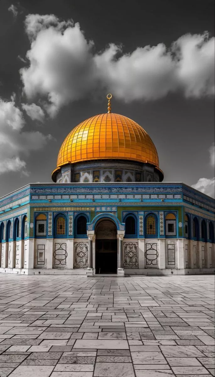 アイデア｜｜shark israil