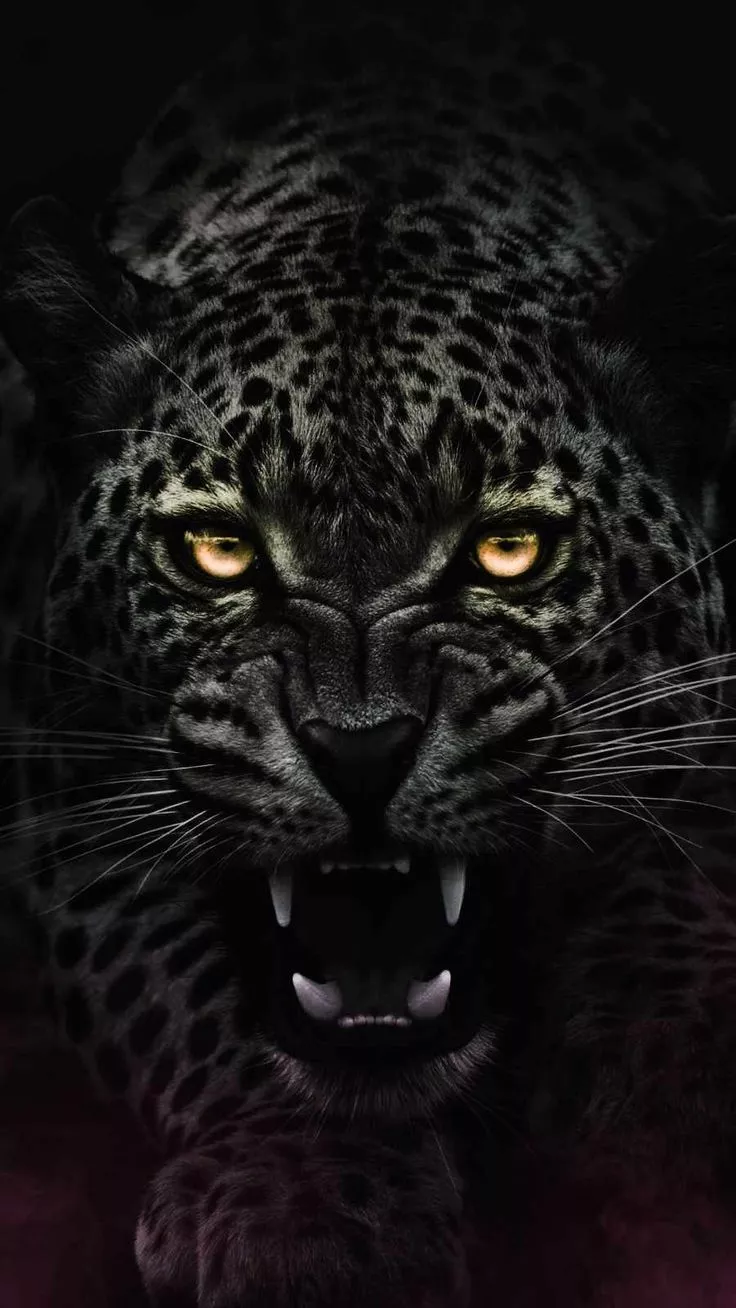 Angry Jaguar IPhone Wallpaper