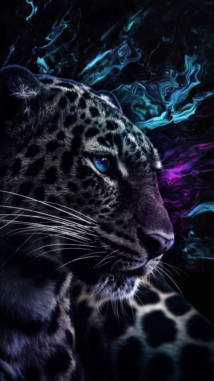 Jaguar Predator Eyes