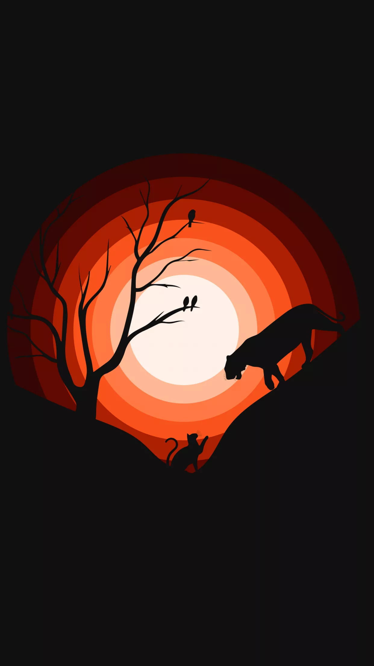 Jaguar Wallpaper 4K, Cat, Sun, Silhouette