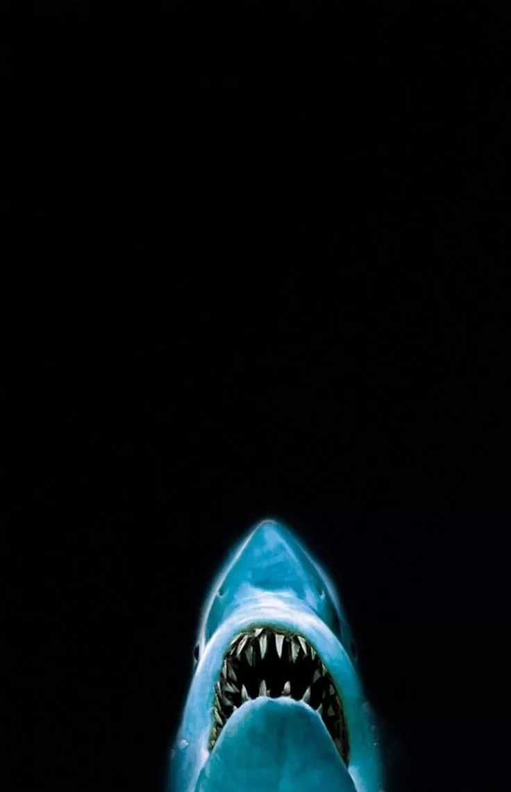 shark