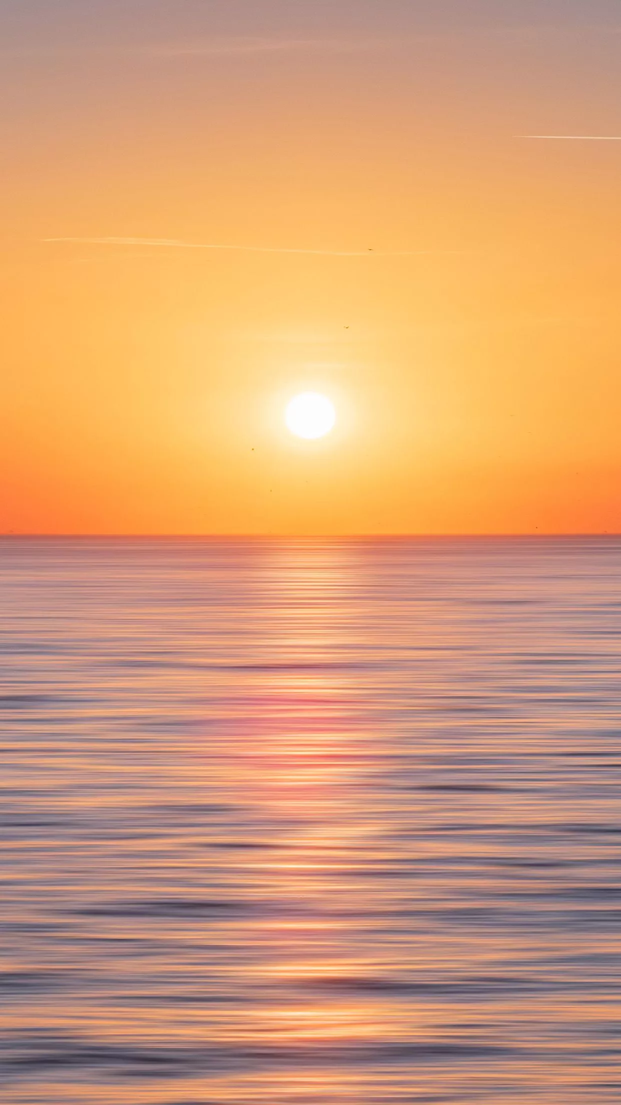 Nature Sun Sunset Sea Sky Ocean
