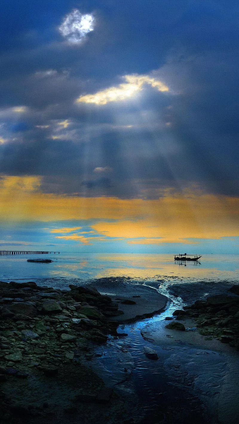 nature, HD phone wallpaper