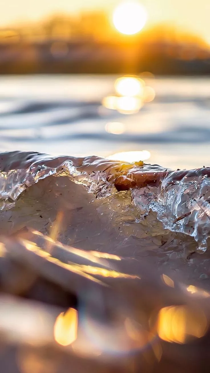 Sunshine on Ice iPhone Wallpaper