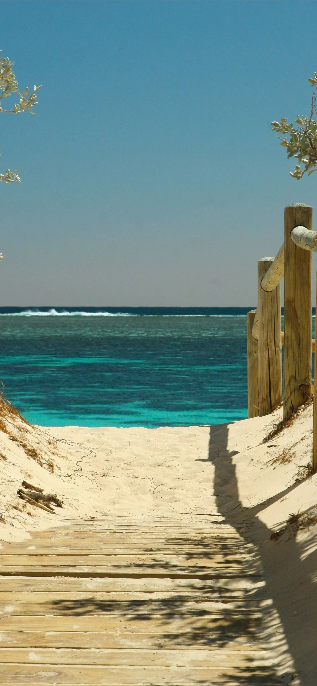 sunshine coast iPhone Wallpaper Free