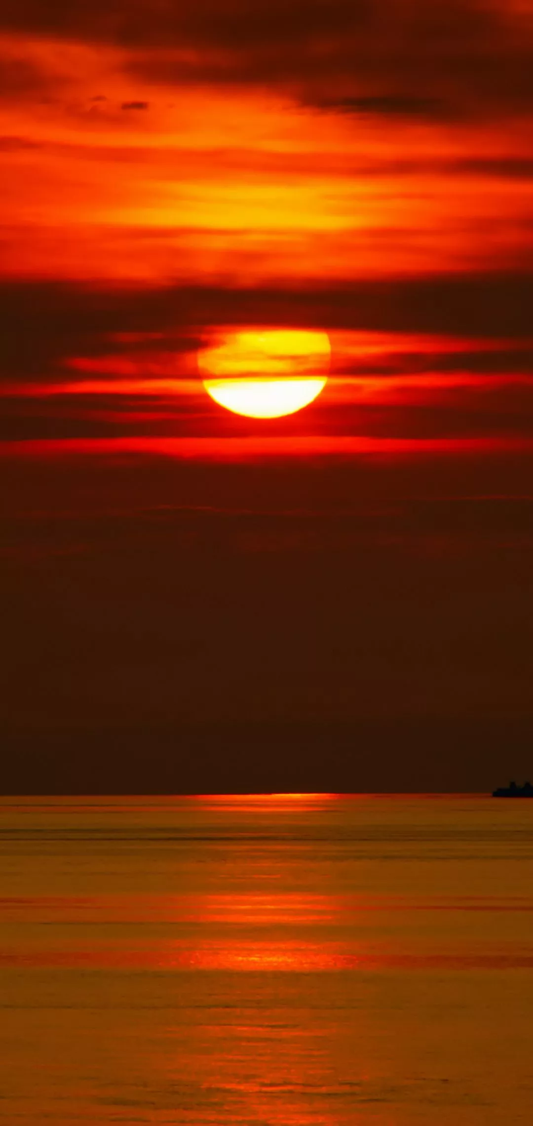 Sun iPhone Wallpaper