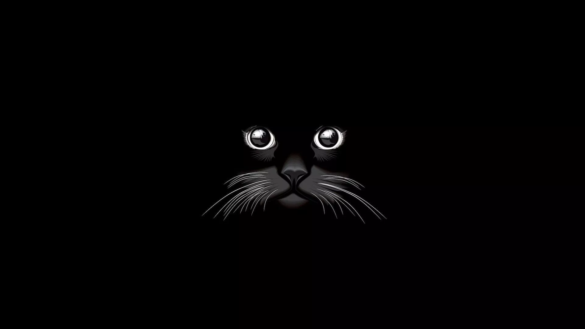 Download Minimalist Black Cat Animal Artistic HD Wallpaper