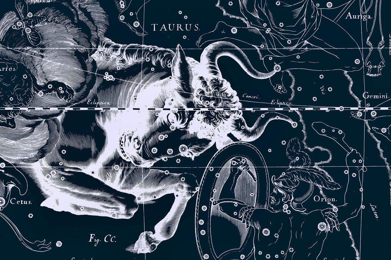 Taurus Constellation Map in Navy Wall