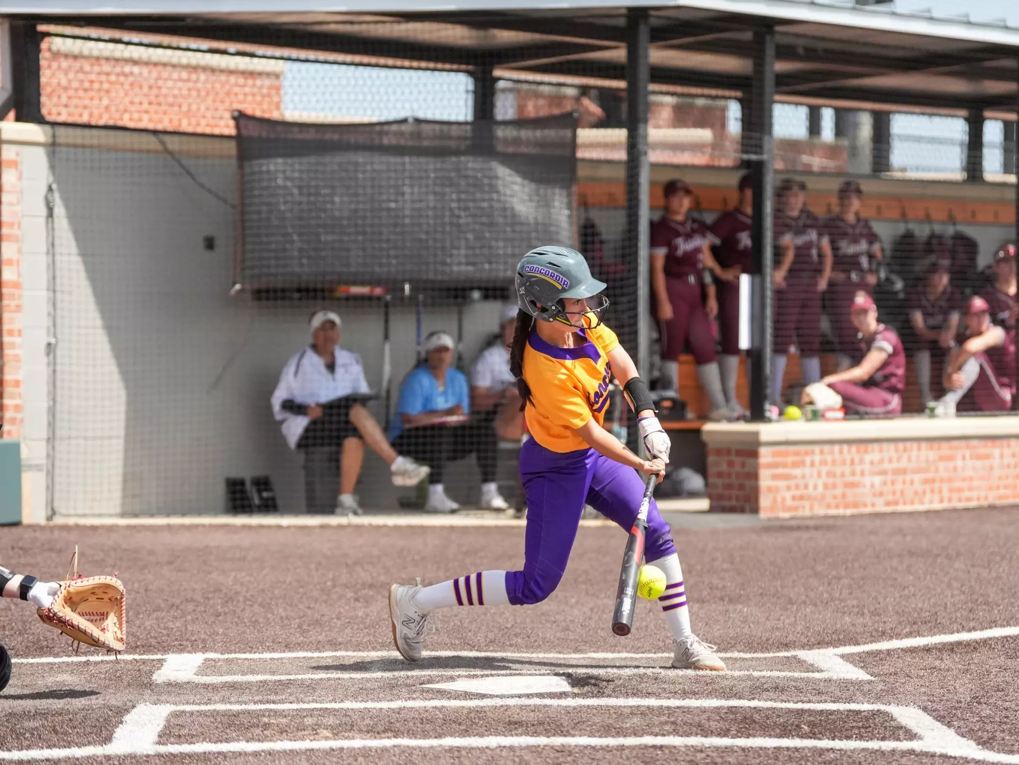 Concordia University Texas Athletics