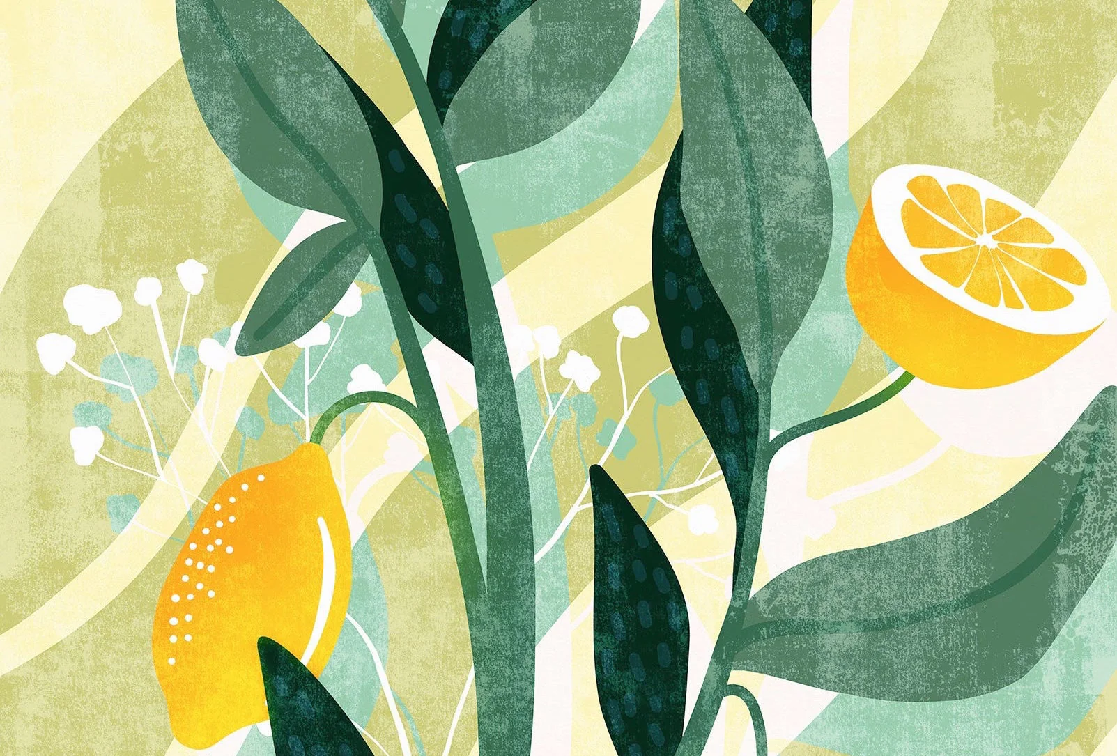 Plant and Animal Wallpaper