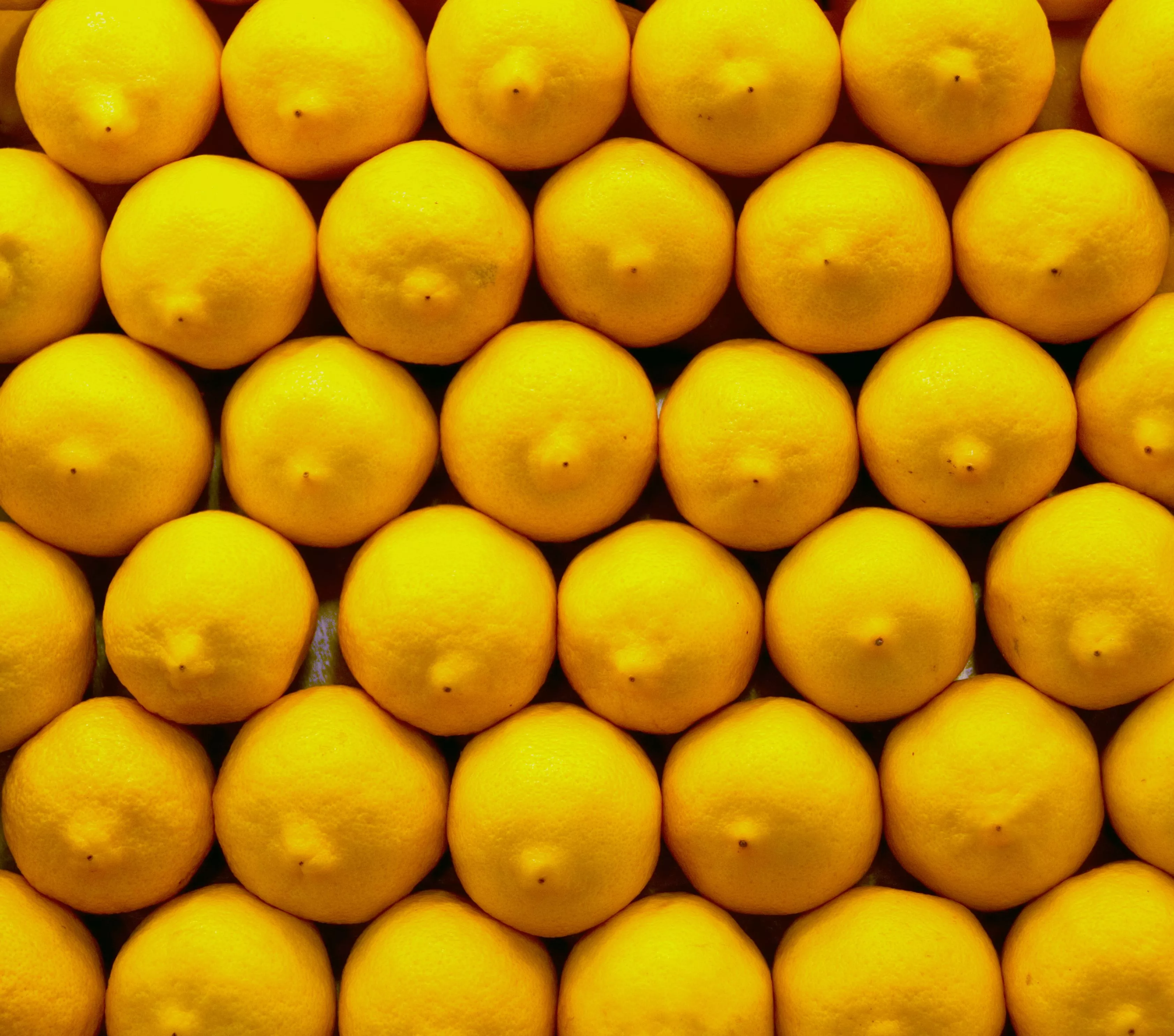 Vibrant lemon wallpaper for desktop