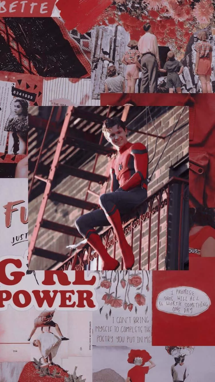 Tom Holland HD Wallpaper