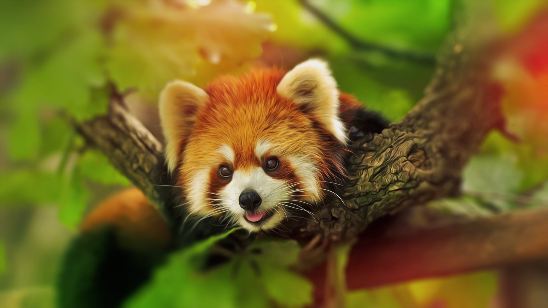Download Tree Animal Red Panda HD Wallpaper