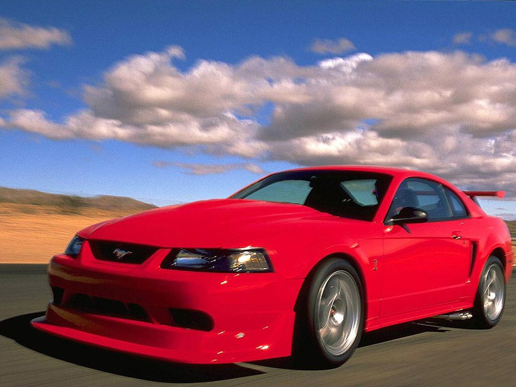 Ford Mustang Cobra R picture