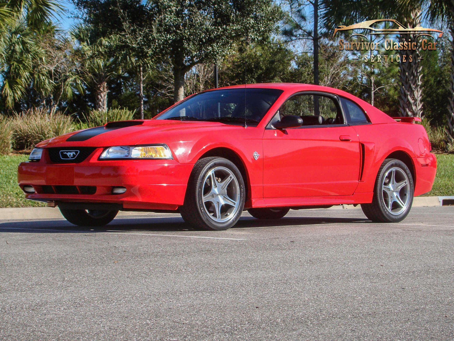 Ford Mustang. American Muscle CarZ