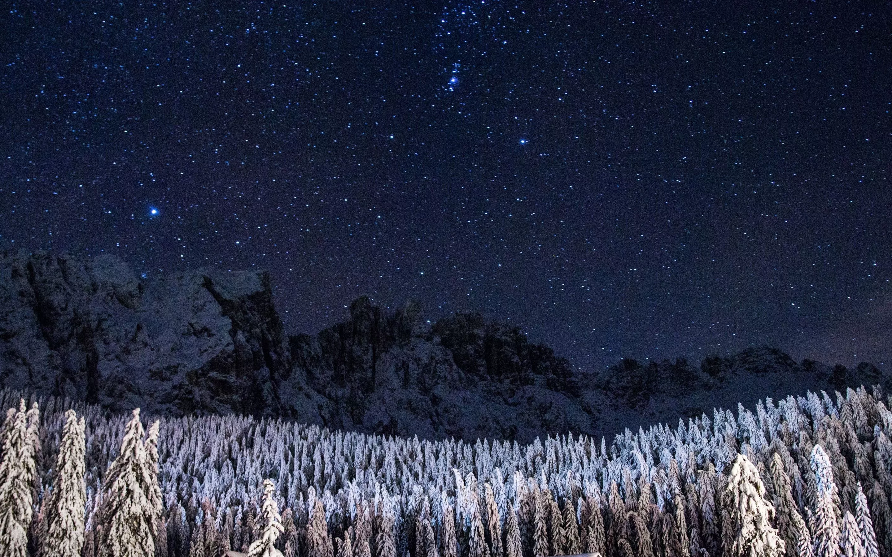 snowy forest MacBook Air Wallpaper