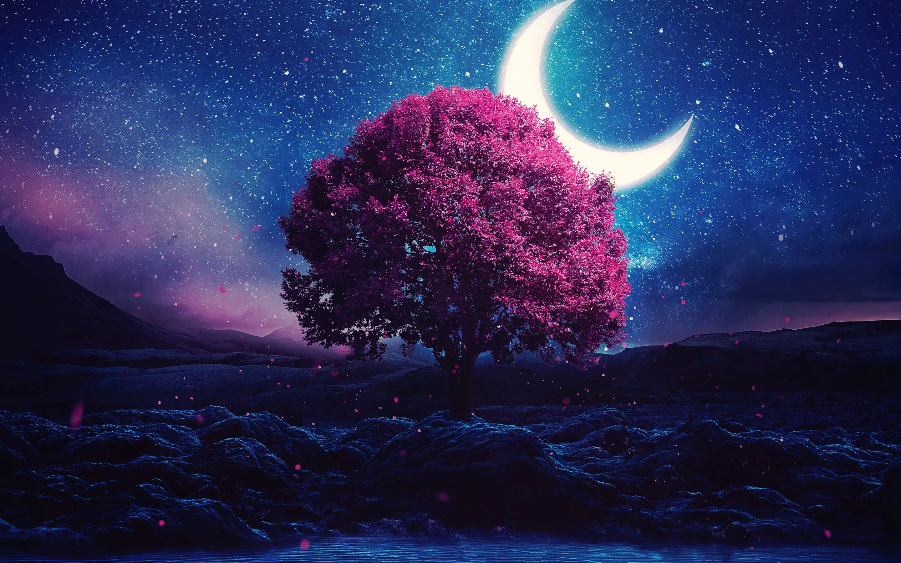 Aesthetic Wallpaper 4K, Lone tree