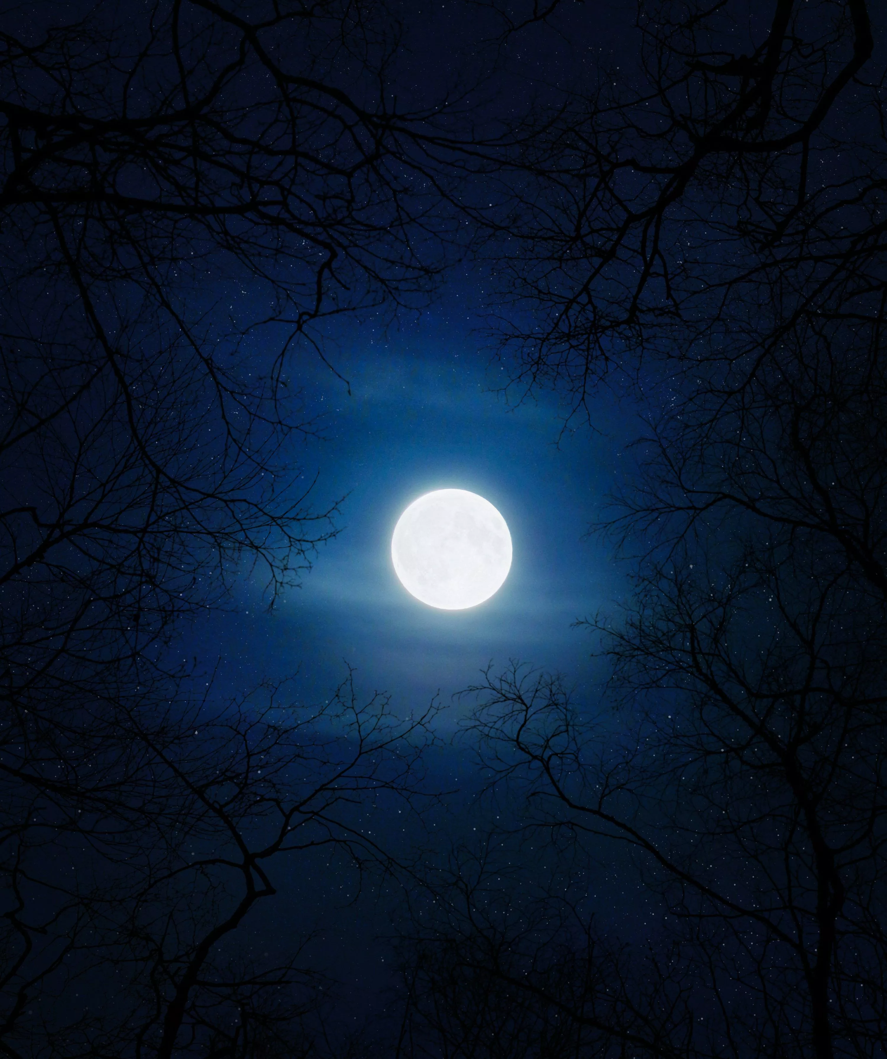 Night Sky Moon Picture