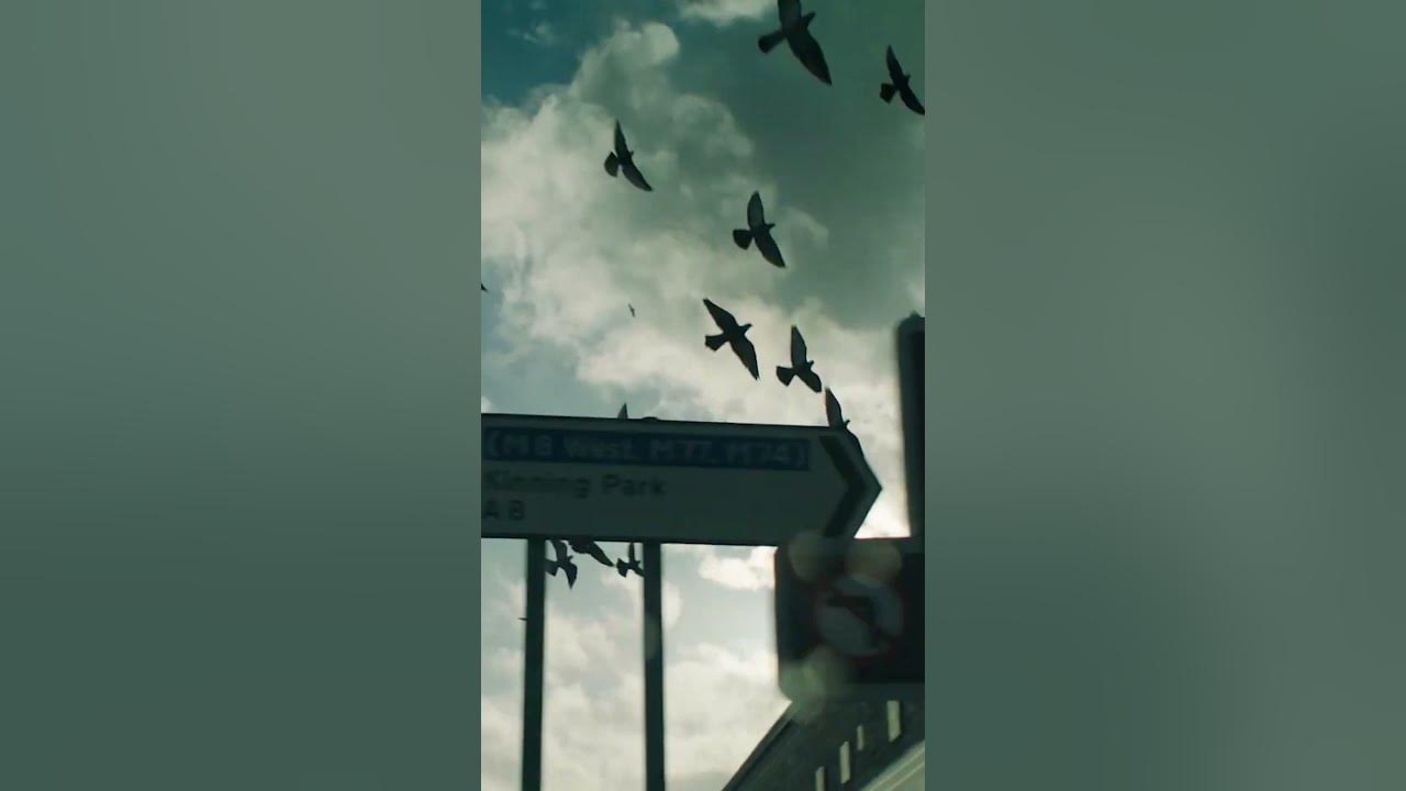 cinemas on April 11. #mogwai
