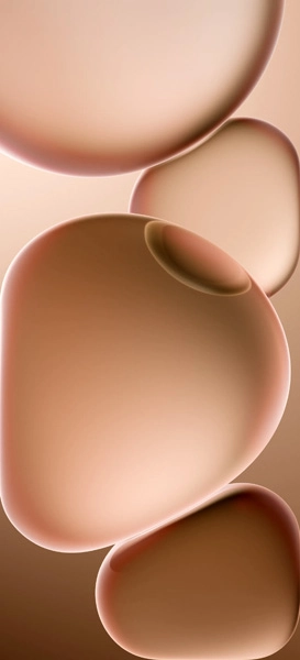 Oppo Find X8 wallpaper