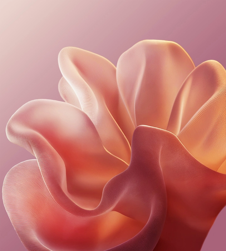 Motorola Edge 60 Fusion wallpaper