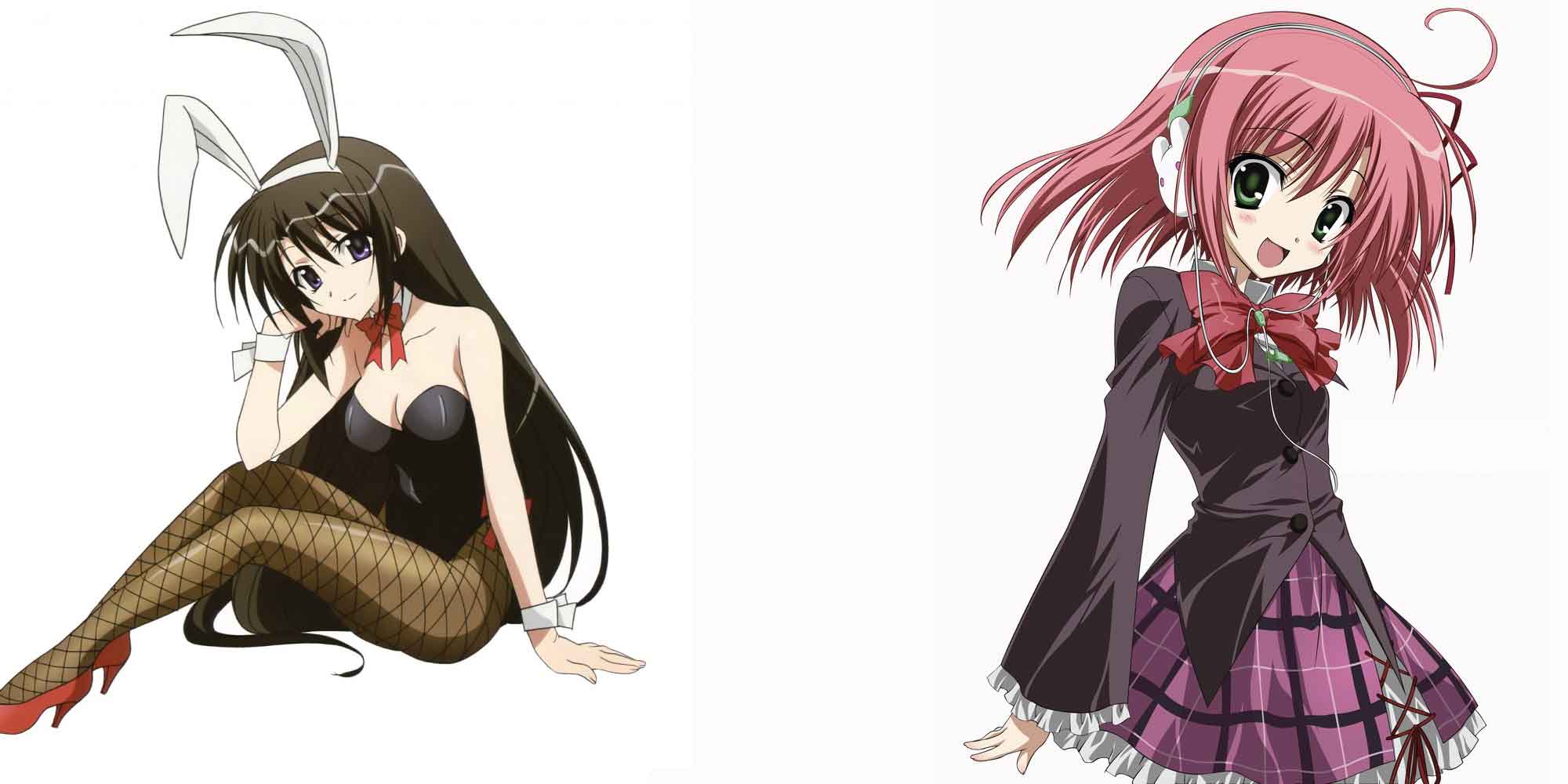 Seitokai No Ichizon wallpaper, Anime