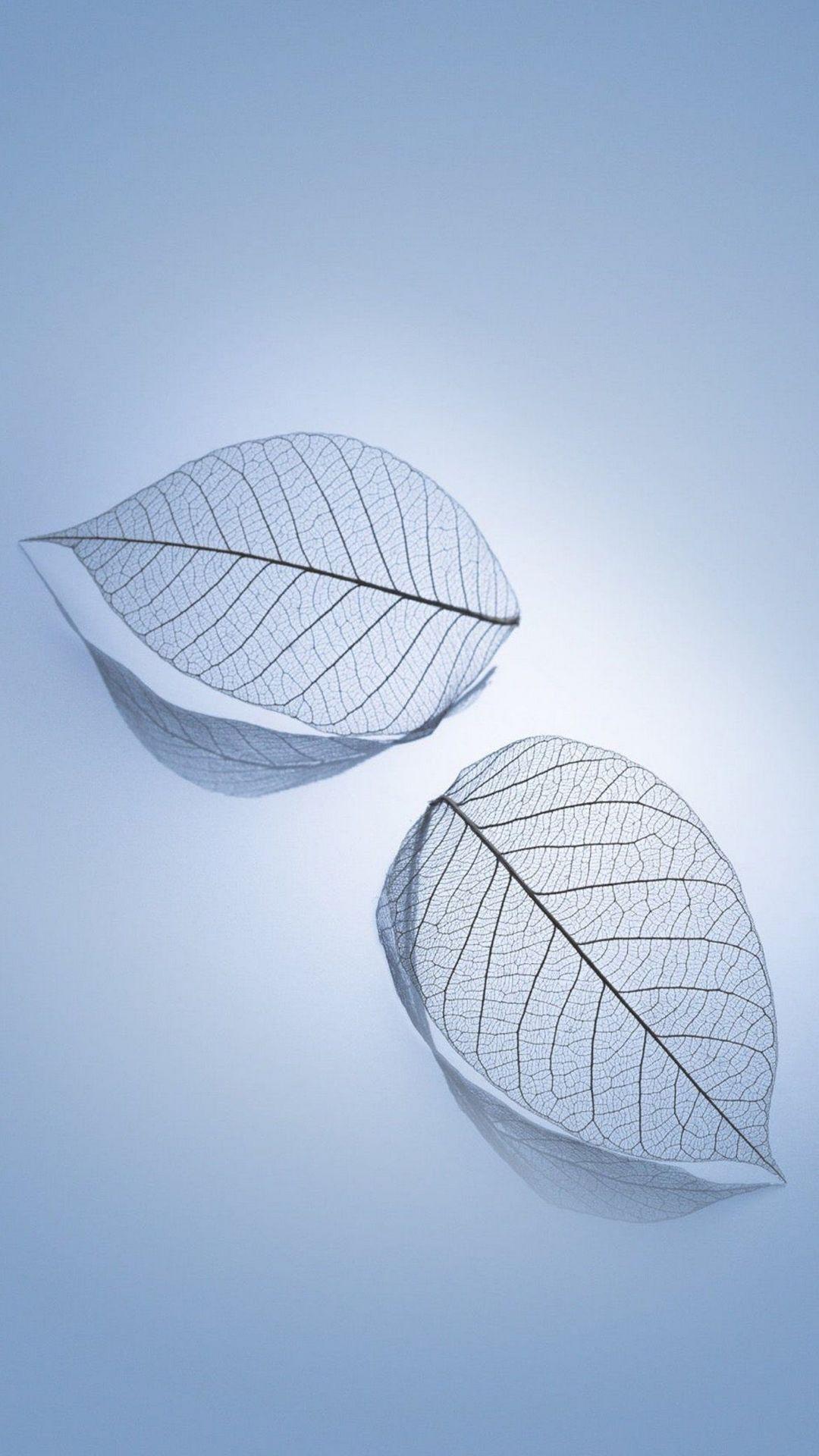 Wallpaper for Blackview Pro APK