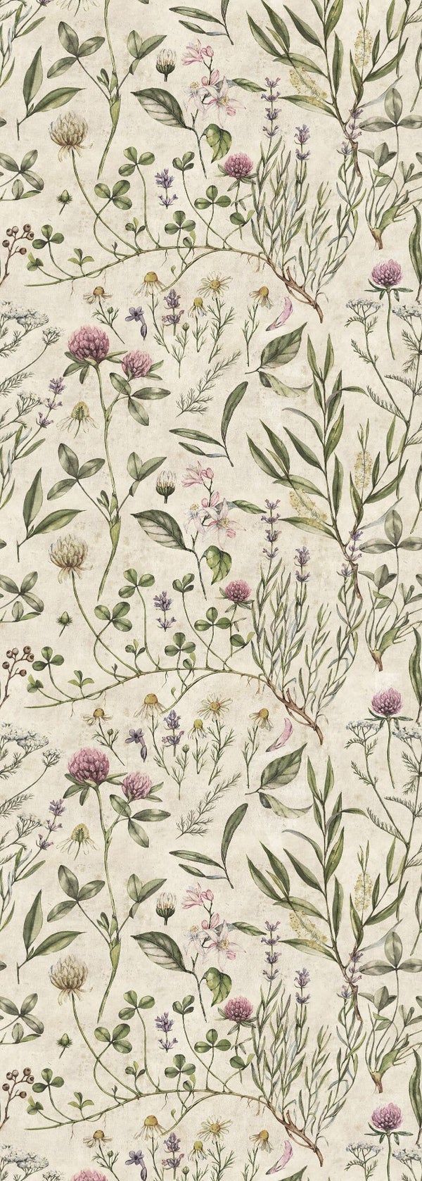 VINTAGE Botanic Illustration Wallpaper