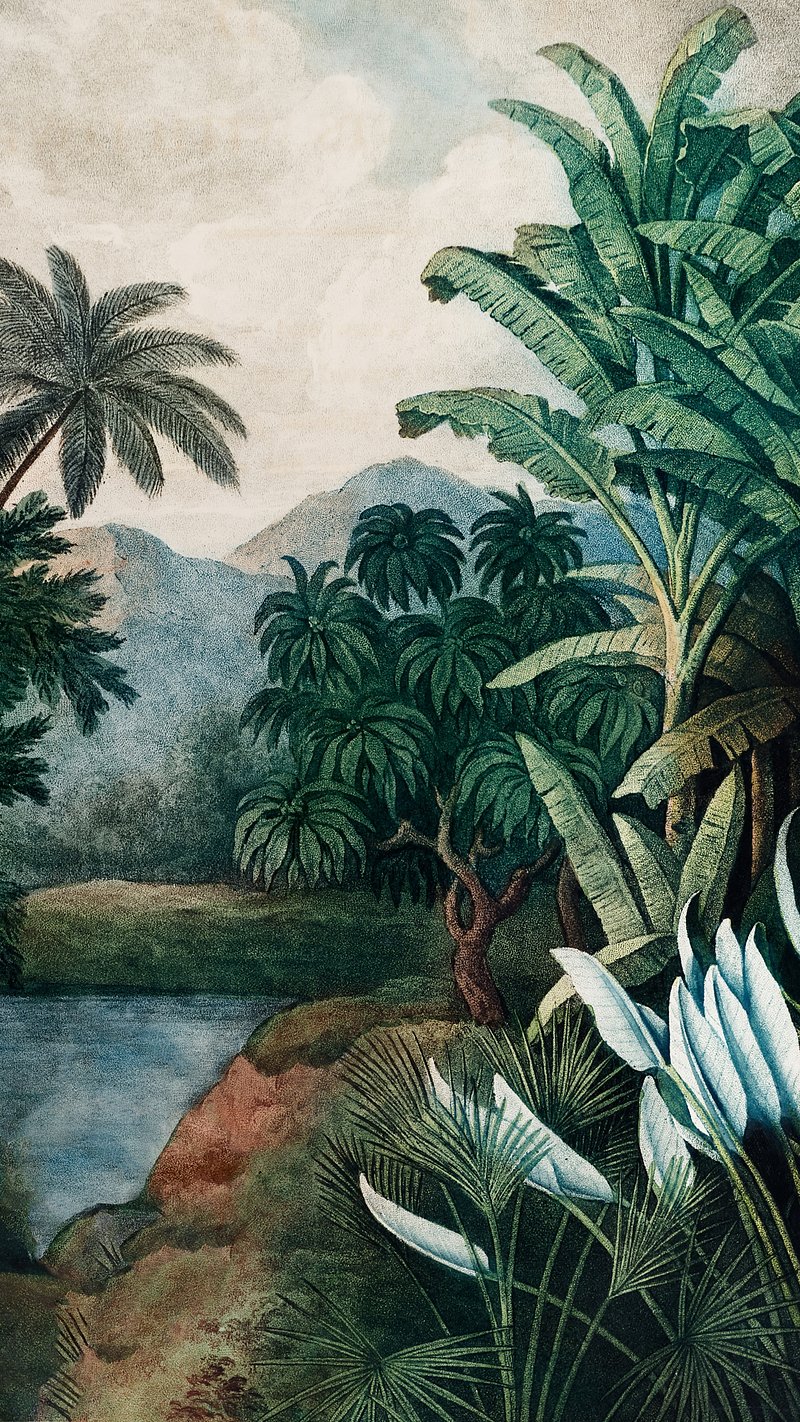 Vintage Tropical Image. Free Photo