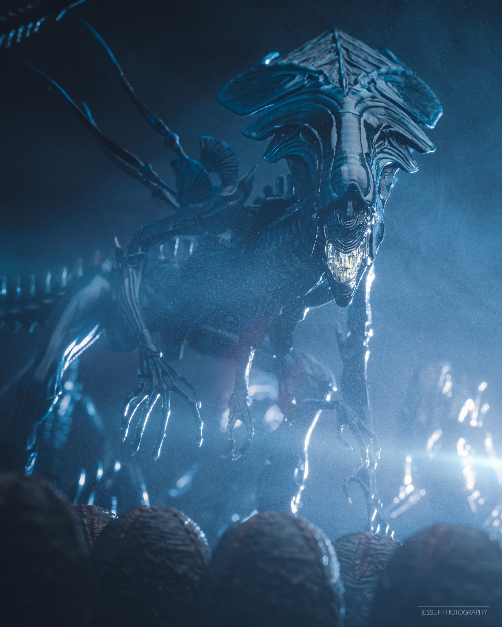 Jesse Feyereisen Photography