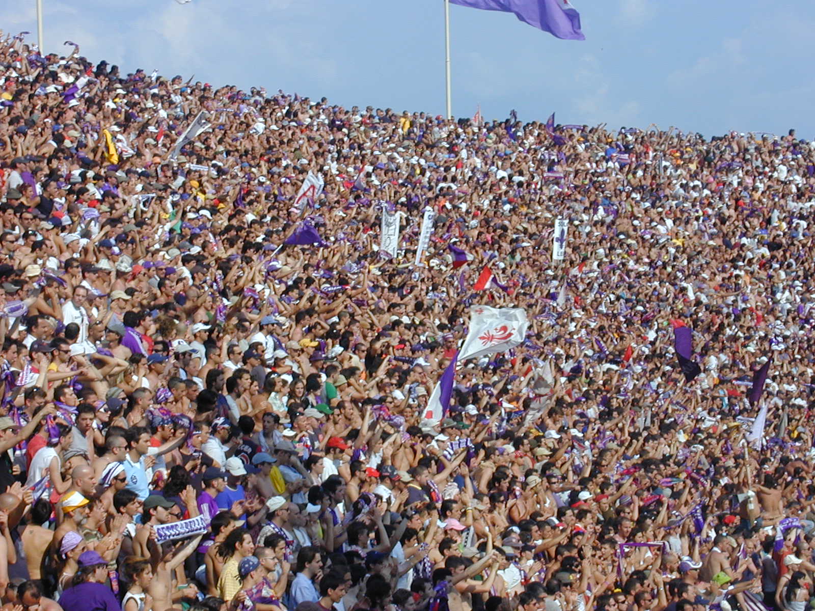 Tifosi