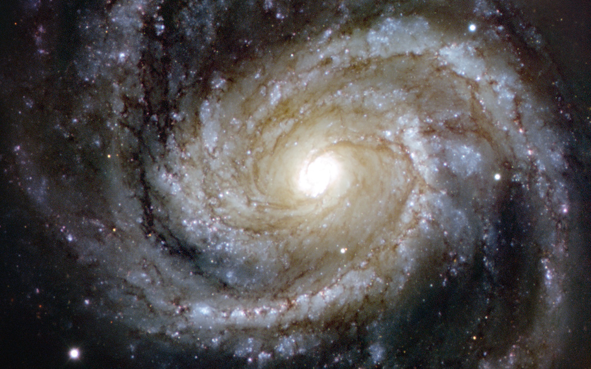 Messier 100 Spiral Galaxy Wallpaper