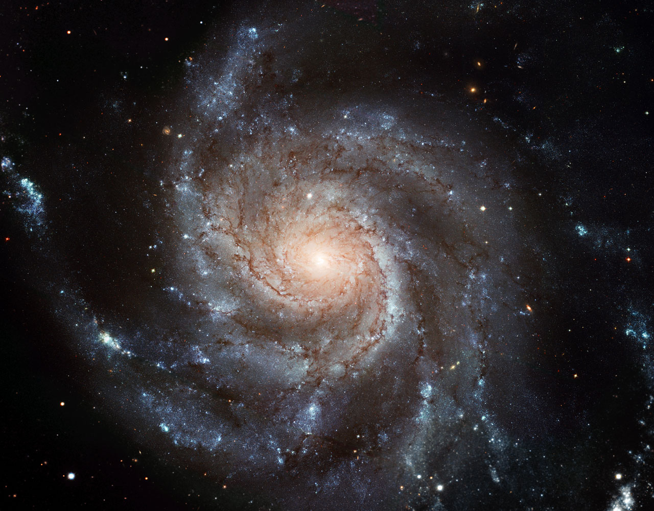 image of Pinwheel Galaxy